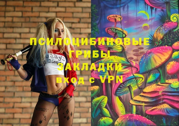 мдпв Абинск